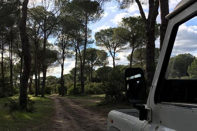 Donana National Park and El Rocío: Guided Tour from Seville - How guides like Jose, Ramon, and Sergio can make or break the day