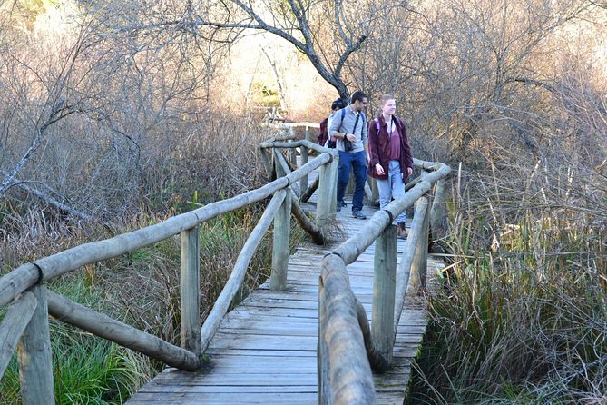 Donana National Park: Guided Day Tour from Seville - Santuario de Nuestra Señora del Rocío: More Than Just a Photo Stop
