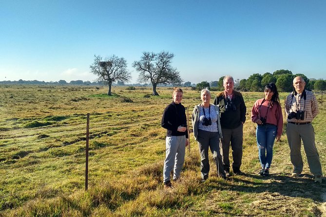 Donana National Park: Guided Day Tour from Seville - The Main Event: National Park Doñana Viewing Time