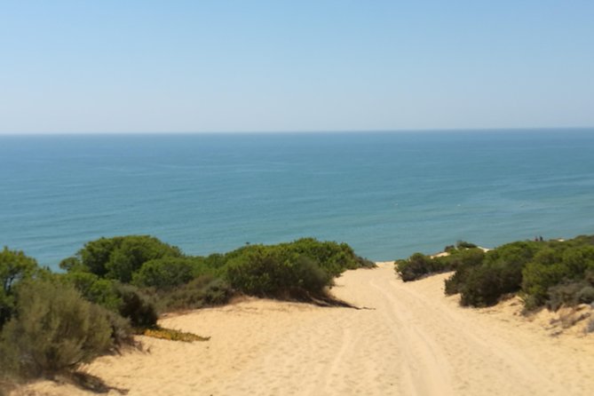 Donana National Park: Guided Day Tour from Seville - Guides Make the Difference: Jose, Ramon, Miguel, Sergio, Diego, and Drees