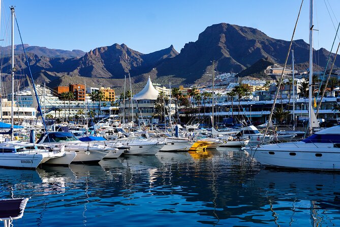Double Tuk Tuk Tour in Costa Adeje - From Hotel Best Jacaranda to the Resort Strip