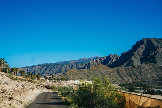 Double Tuk Tuk Tour in Costa Adeje - The Duke Area: Luxury Hotels and the Story of Why It Got Fancy