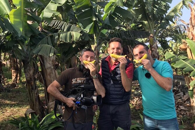 Eco banana farm Tour - Eco Banana Farming in El Rincón: Where the Tour Starts