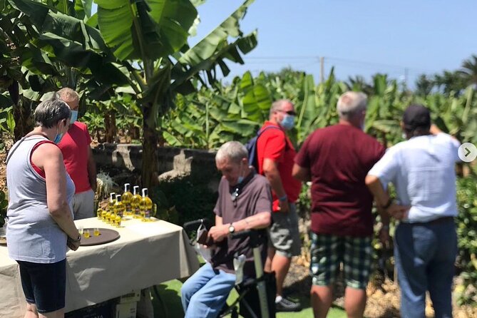 Eco banana farm Tour - Eco Farming and 95% Self-Sufficient Living: Why It Matters