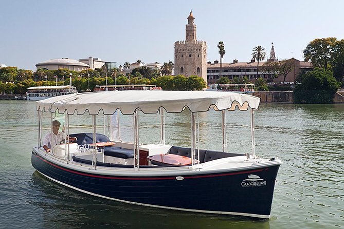 Eco-Cruise by Guadalquivir River - The boat experience: quiet, clean, and easy on a hot day