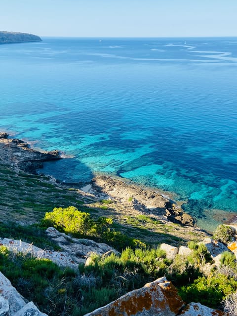 El Arenal: Private Mallorca Boat Rental (No License Needed) - Pirate caves, cliff jumping, and the quieter coast you can reach by boat