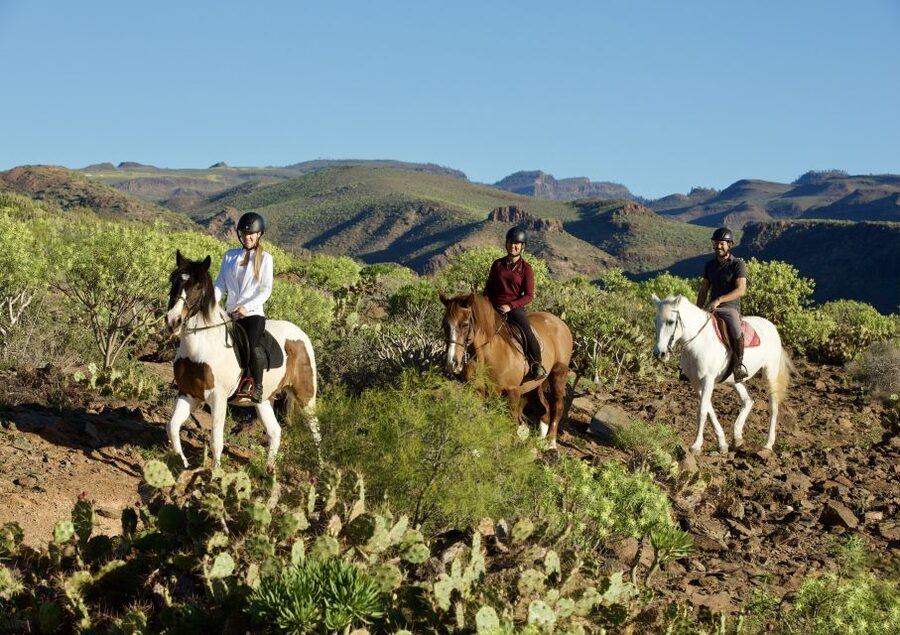 El Salobre: Horse Riding Adventure with Transfer Options - Gran Canaria Volcanic Views Without a Sweat-Fest