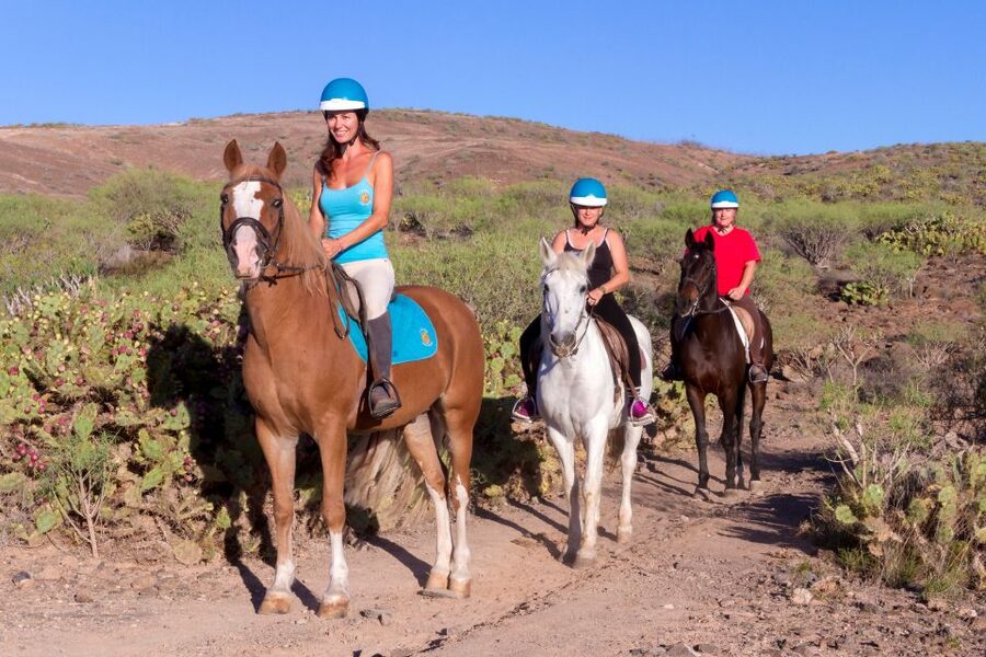 El Salobre: Horse Riding Adventure with Transfer Options - Getting Oriented at the El Salobre Horse Center