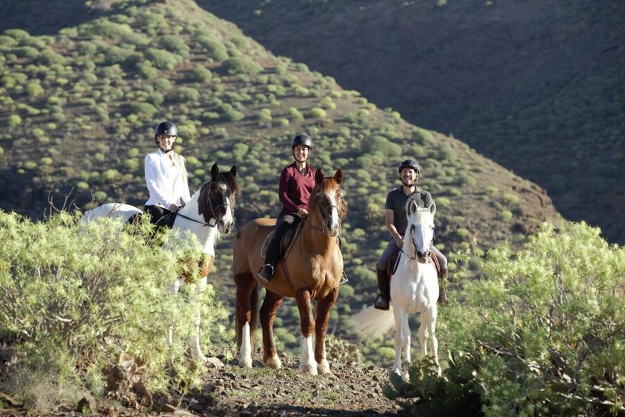 El Salobre: Horse Riding Adventure with Transfer Options - Maspalomas Dunes Viewpoint and the Best Photo Moments