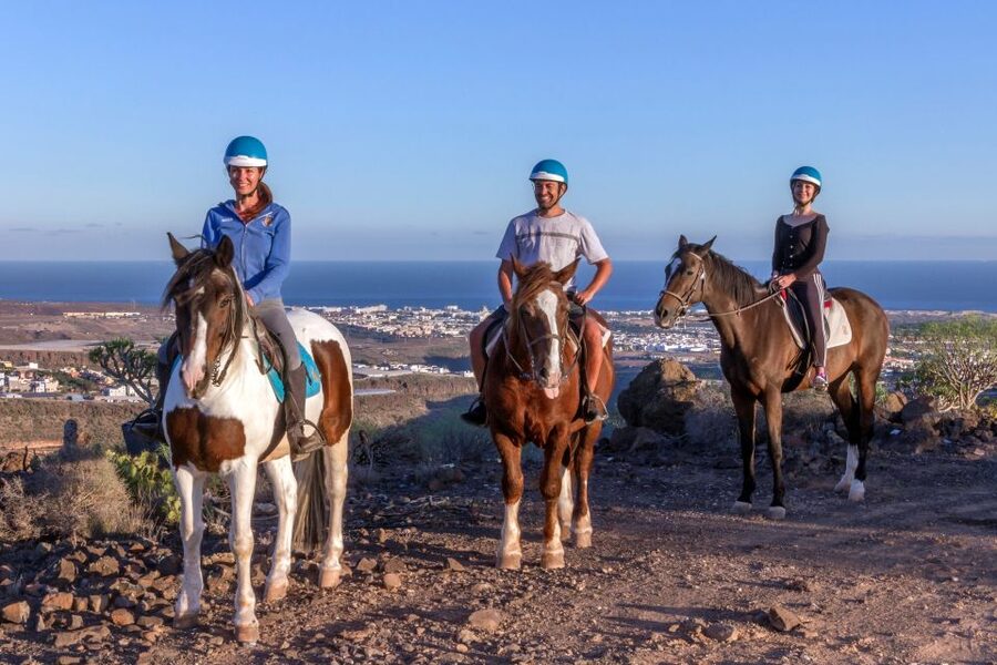 El Salobre: Horse Riding Adventure with Transfer Options - Who This Horse Ride Is For (and Who Should Skip)