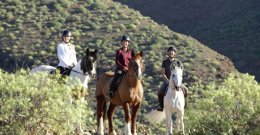 El Salobre: Horse Riding Adventure with Transfer Options - What the 1.5 to 2 Hour Route Really Feels Like