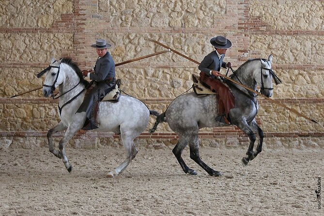 Equestrian Show Royal Stables of Córdoba - Who should book this Royal Stables show?