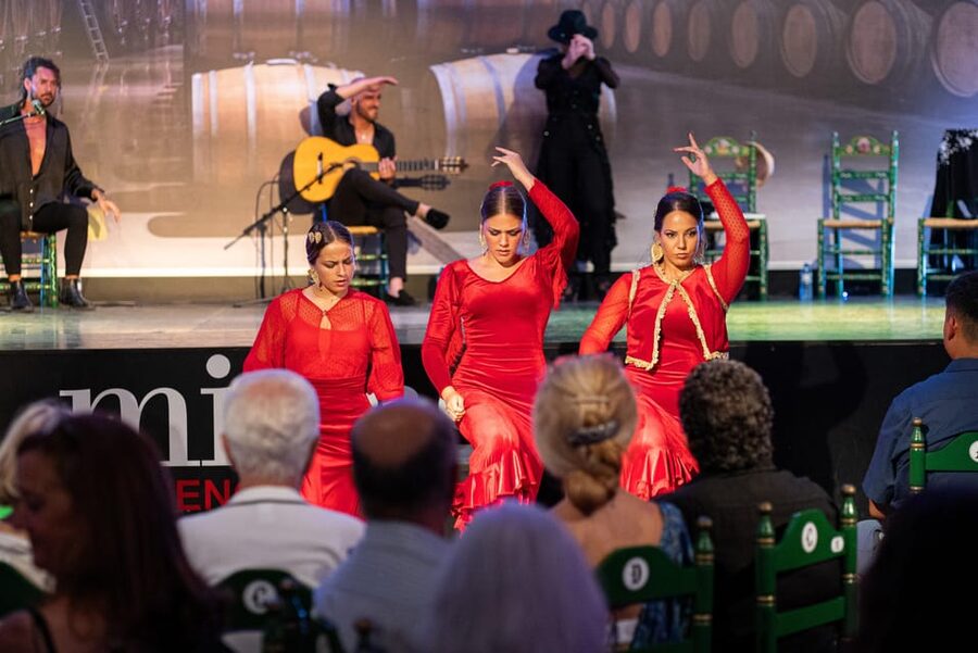 Estepona: Andalusian Flamenco Show Entry Ticket with Drink - Key things to know before you go