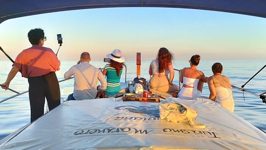Estepona: Dolphin Search Boat Trip with Drink and Snacks - When dolphins show up, it feels magical. When they do not, you still have options.
