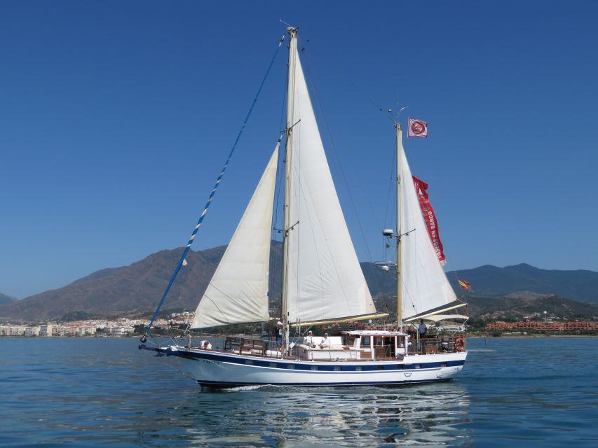Estepona: Dolphin Watching Sailboat Cruise with Drink - Sailing Out of Puerto de Estepona for a Dolphin Hunt
