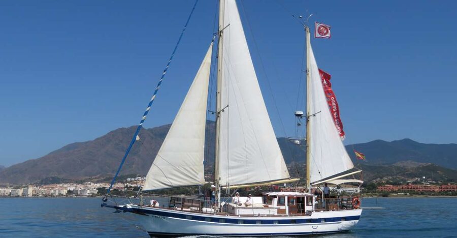 Estepona: Dolphin Watching Sailboat Cruise with Drink - The 2-Hour Rhythm: Search, Sail, and a Possible Mediterranean Swim
