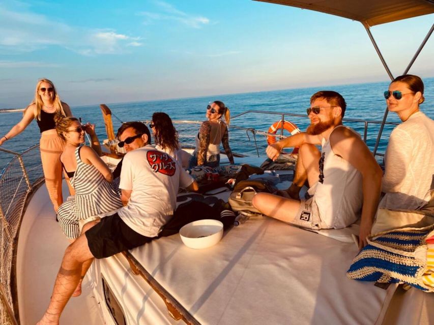 Estepona: Dolphins Searching Sea Cruise with Drink & Snacks - The dolphin search part: what you should watch for