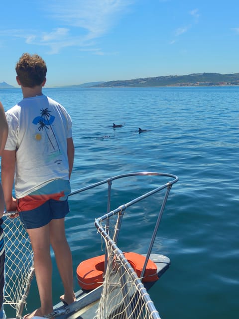 Estepona: Dolphins Searching Sea Cruise with Drink & Snacks - The swim stop: when you can cool off in the Mediterranean