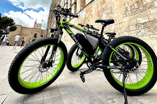 Exclusive Fat Tire E-Bike Tour in Palma - Parc de la Mar, the Cathedral Area, and the Feeling of the City Center
