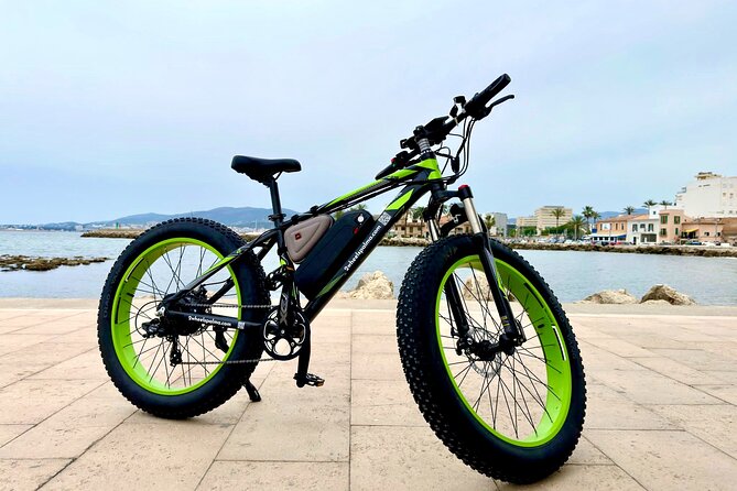 Exclusive Fat Tire E-Bike Tour in Palma - Passeig Portitxol and El Molinar, Two Coastal Stops With Different Moods