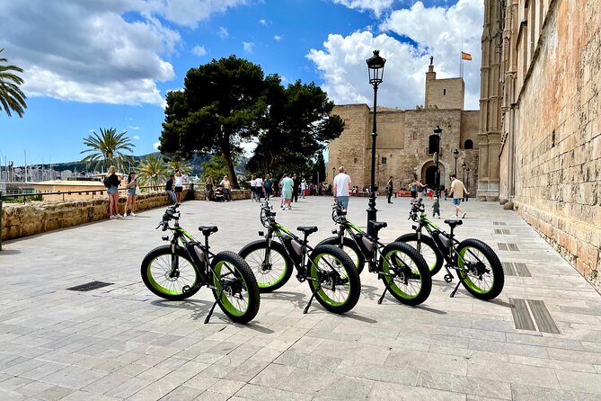 Exclusive Fat Tire E-Bike Tour in Palma - Cathedral de Mallorca, the Cathedral of Light, and What the Windows Mean