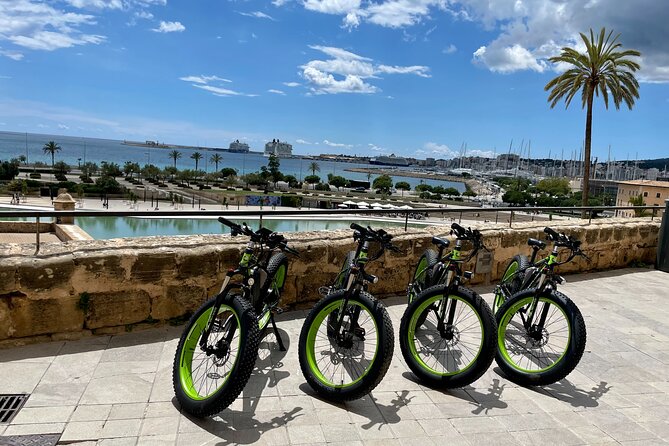 Exclusive Fat Tire E-Bike Tour in Palma - Palau de lAlmudaina, a 14th-Century Royal Stop