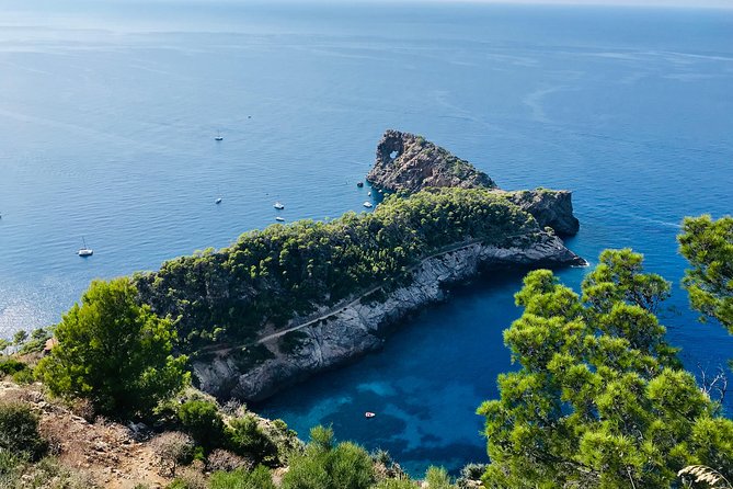 Explore Mallorca in Your Own Formula One Car - Palma de Mallorca Port Stop: Quick Breaks for Views and Photos