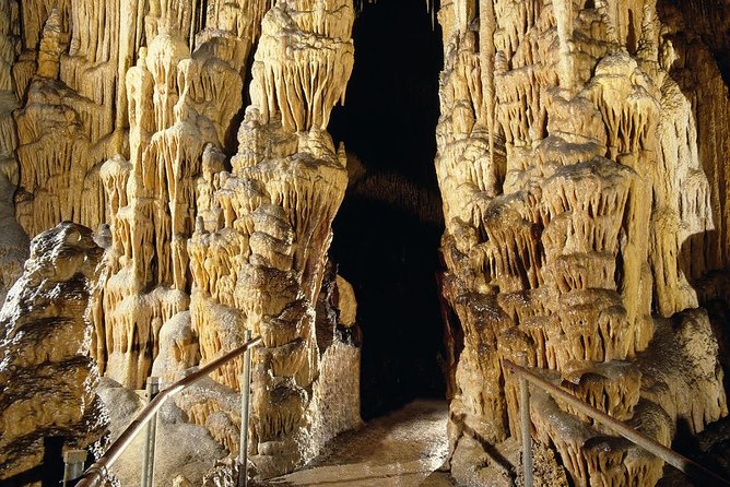 Explore Mallorca: Majorica Pearl Shop and Caves of Drach - Inside Cuevas del Drach: the walk, the concert, the big subterranean moments