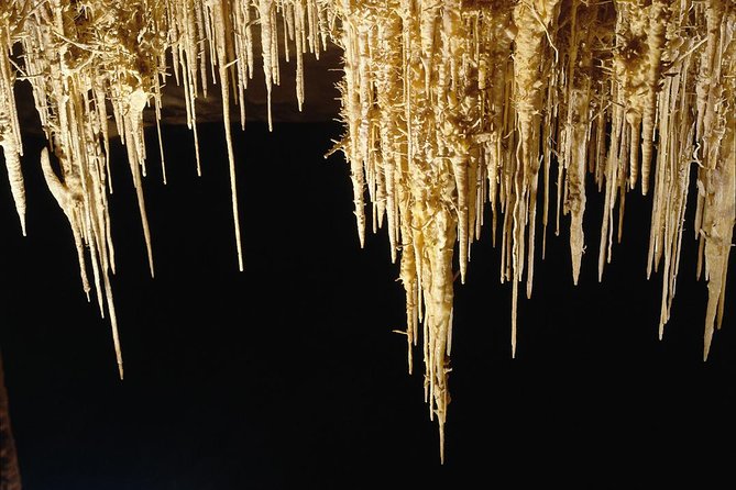 Explore Mallorca: Majorica Pearl Shop and Caves of Drach - The full-day option: Porto Cristo extra time if you want more space