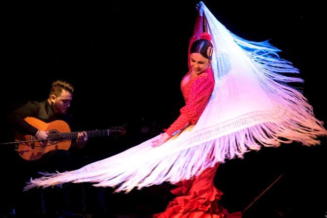 Flamenco Show at Dalmases Palace in Barcelona - Who should book this flamenco show (and who might skip)