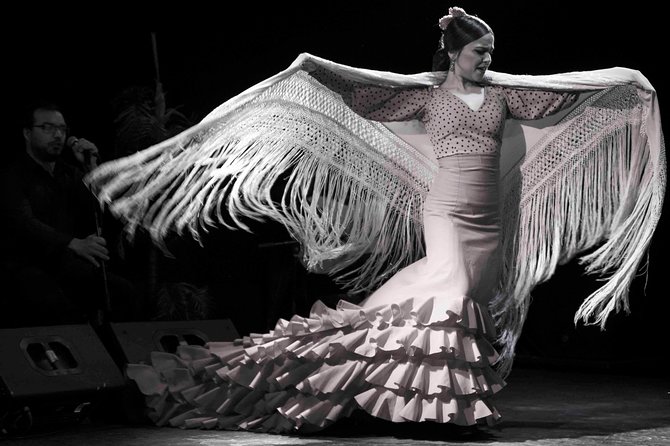 Flamenco Show Ticket at Theatre Barcelona City Hall - Main floor vs VIP: what you should expect to notice