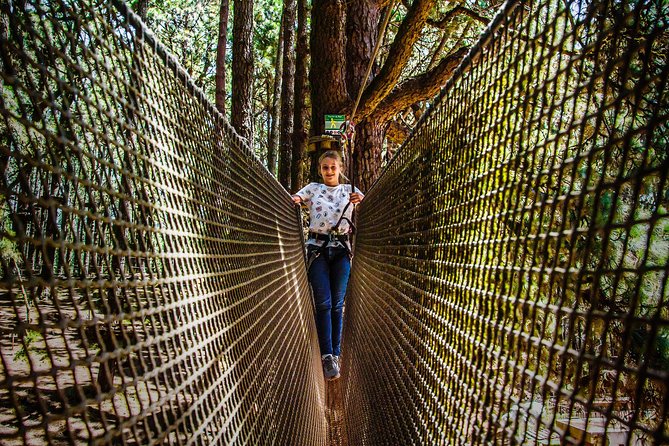 Forestal Park Tenerife Entrance Ticket - Circuit Choices: Easy, Medium, and the Difficult and Extreme Options