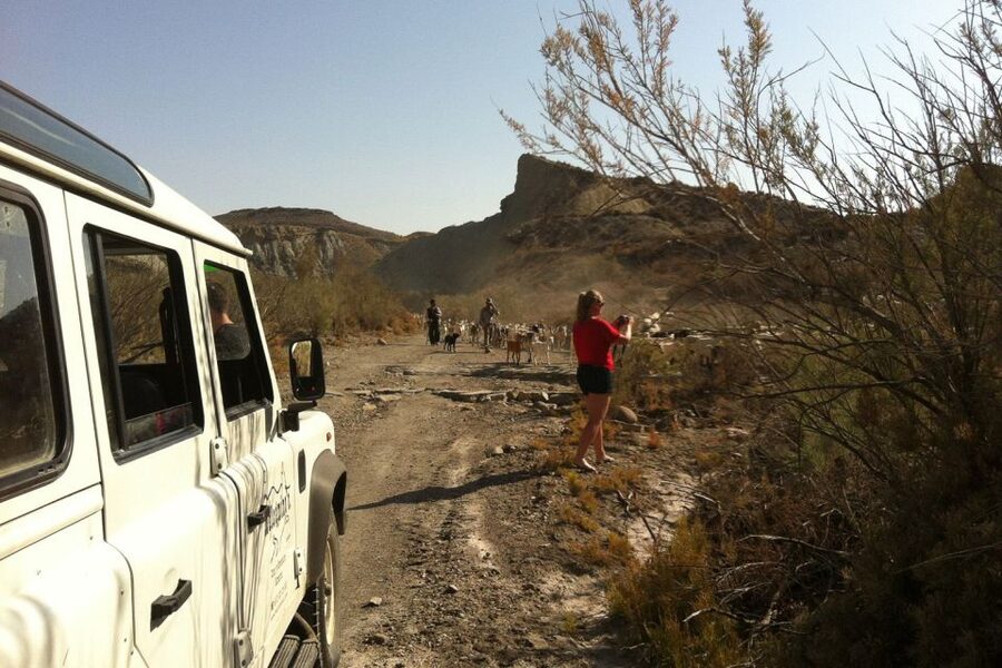 From Almeria: Tabernas Desert 4WD Joyriding Tour - Tabernas Desert 101: why it’s harsh for people