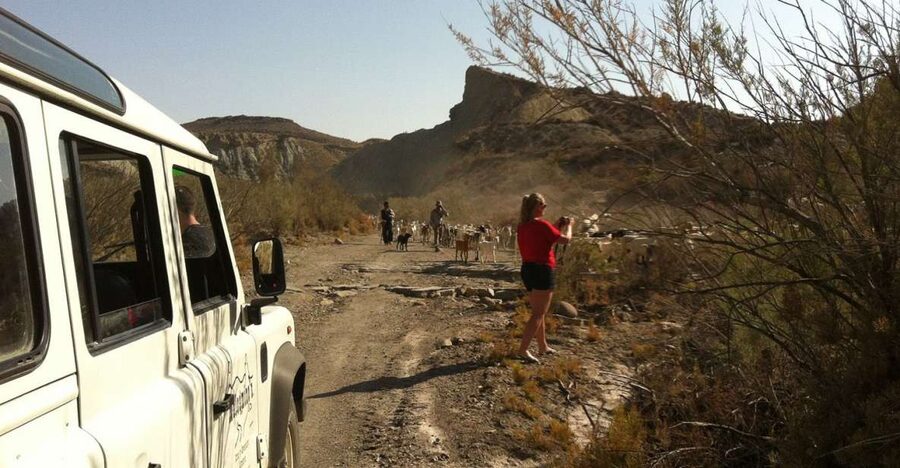 From Almeria: Tabernas Desert 4WD Joyriding Tour - 2 hours in a real 4x4: what the timing feels like