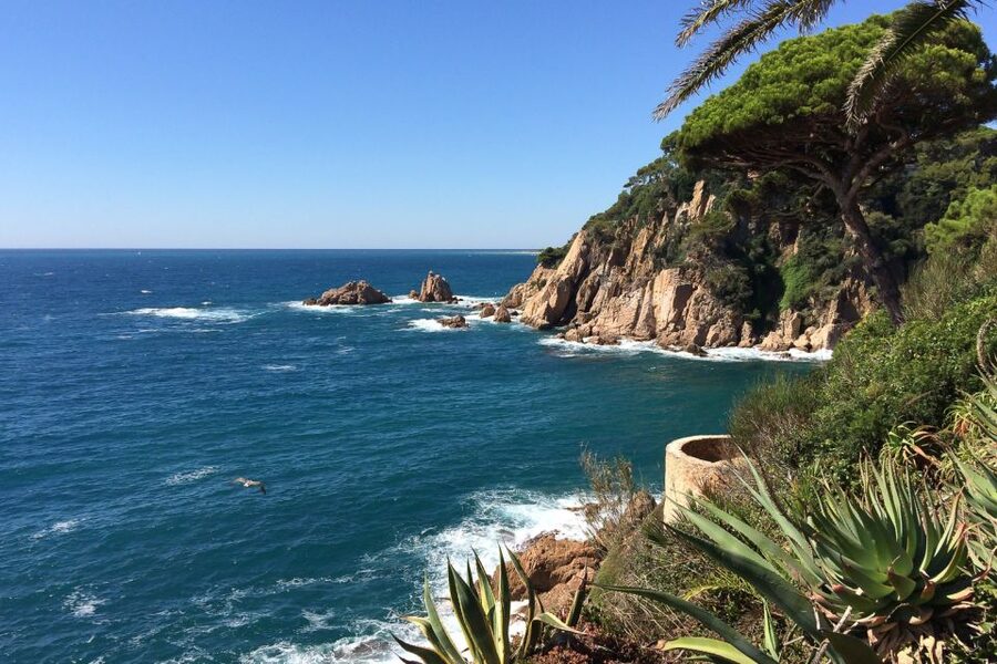 From Barcelona: Costa Brava Day Tour with Lunch - Blanes Botanical Gardens: a cliff-top plant stroll with sea air