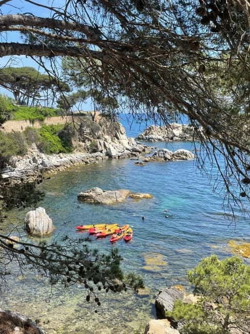 From Barcelona: Costa Brava Kayak & Snorkel Tour with Picnic - Snorkeling in Costa Brava waters with native marine life