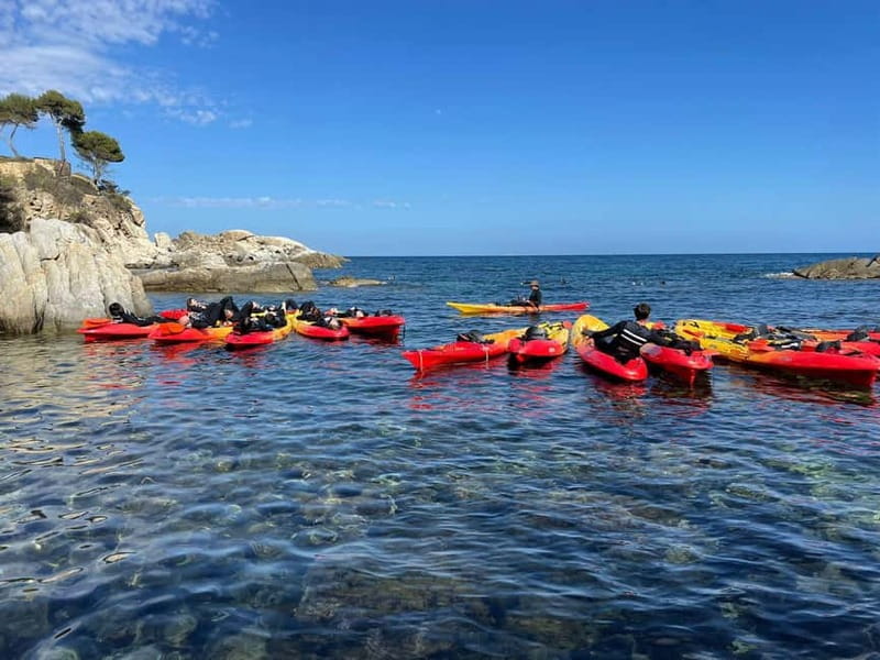 From Barcelona: Costa Brava Kayak & Snorkel Tour with Picnic - Who this tour is for, and who should skip it