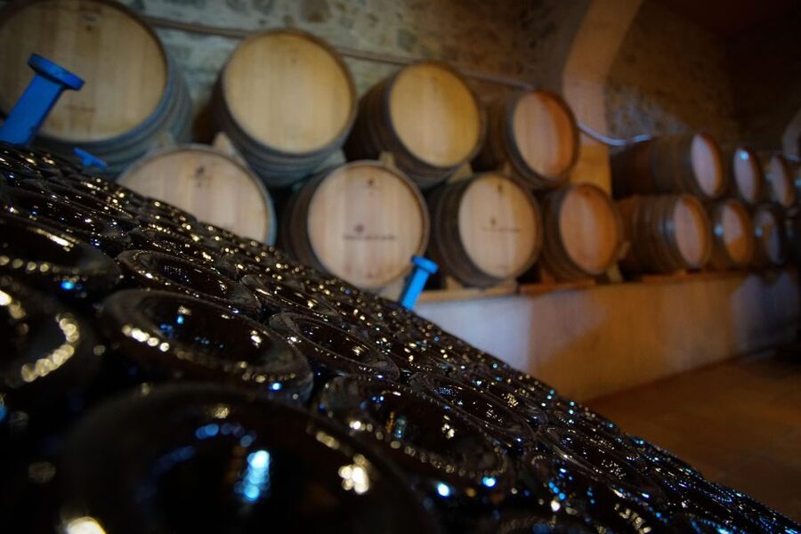 From Barcelona: E-Bike and Sailing Tour with Wine Tastings - What Makes the Guides Matter (And Why Small Groups Help)