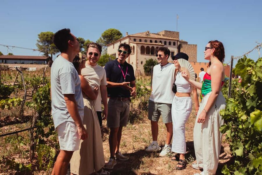 From Barcelona: Full-Day Montserrat & Wine Small Group Tour - The magic mountain walk: where views meet legends and faith
