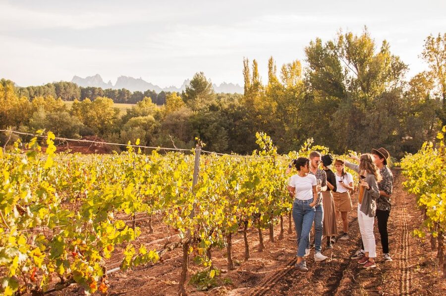 From Barcelona: Full-Day Montserrat & Wine Small Group Tour - Oller del Mas in a 10th-century castle: the winery setting matters