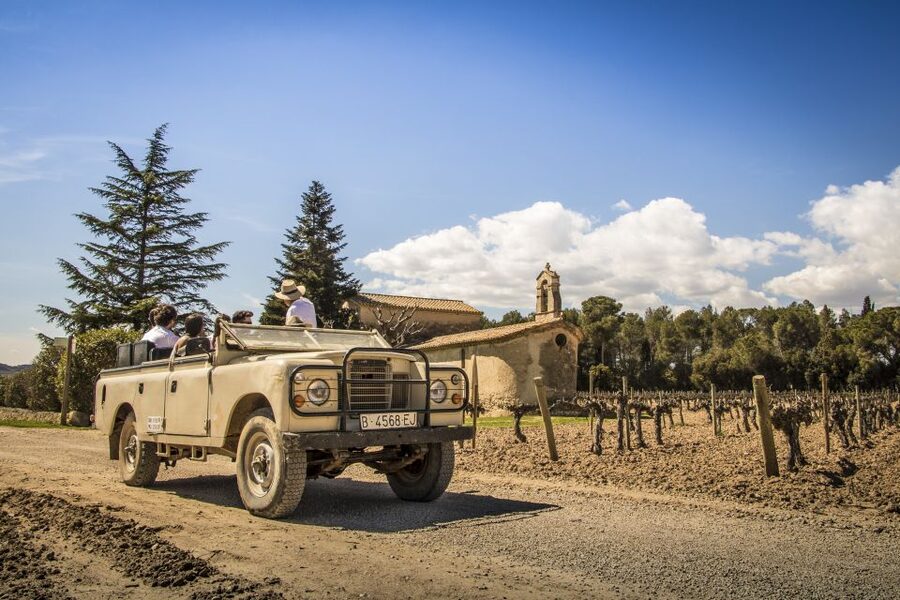 From Barcelona: Penedés Vineyards Tour by 4WD w/Wine & Cava - Who this tour suits best