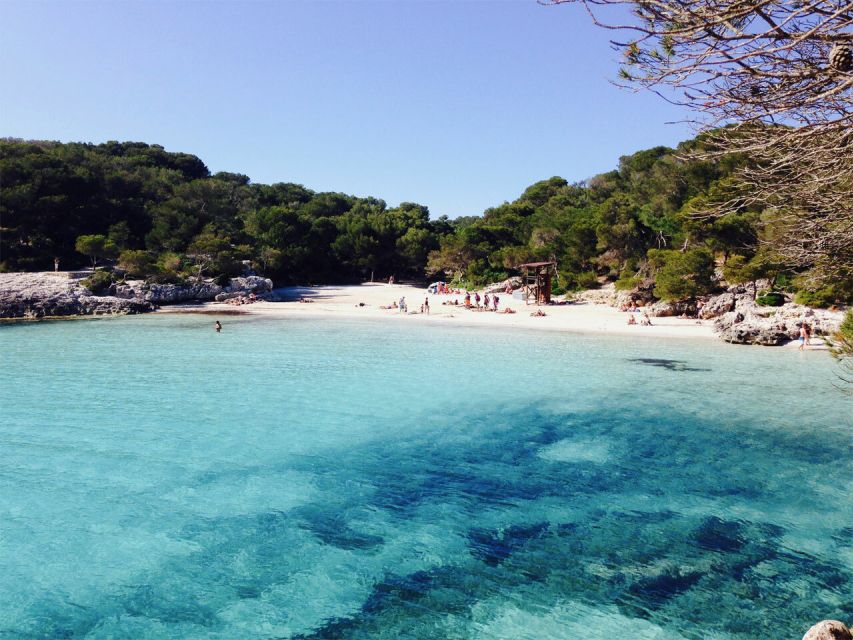From Cala Galdana: 2-Hour Glass-Bottom Boat Trip - Cruising past sea caves and coastline stories