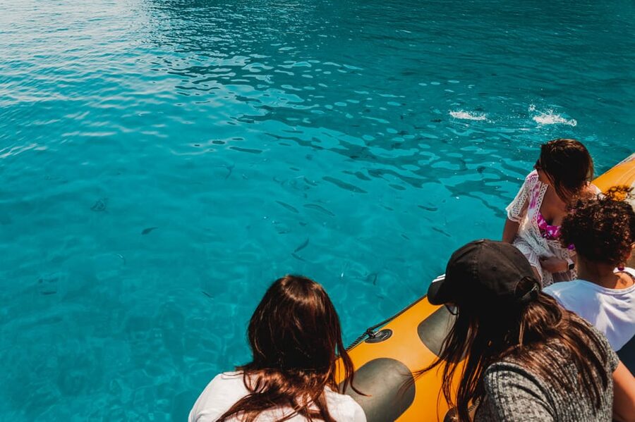 From Can Picafort: Dolphin Watching and Cave Boat Trip - Meeting the boat in Can Picafort, and how to prep for the ride
