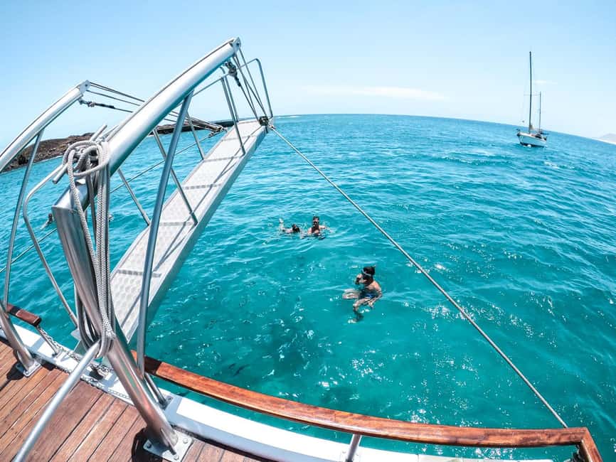 From Corralejo: Lobos Island Boat and Snorkel Activity - Key highlights to know before you go