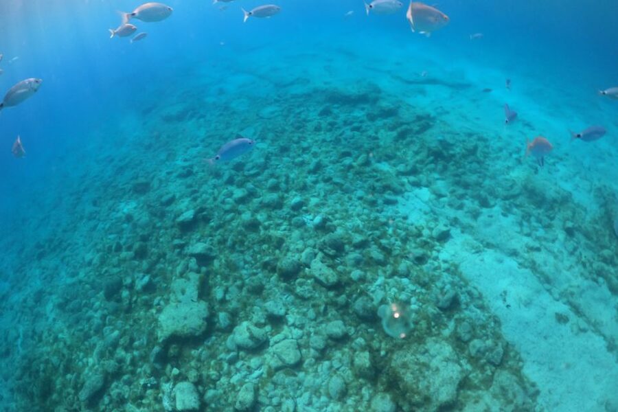 From Corralejo: Lobos Island Boat and Snorkel Activity - Isla de Lobos on your own: beaches, La Caldera, and the lighthouse