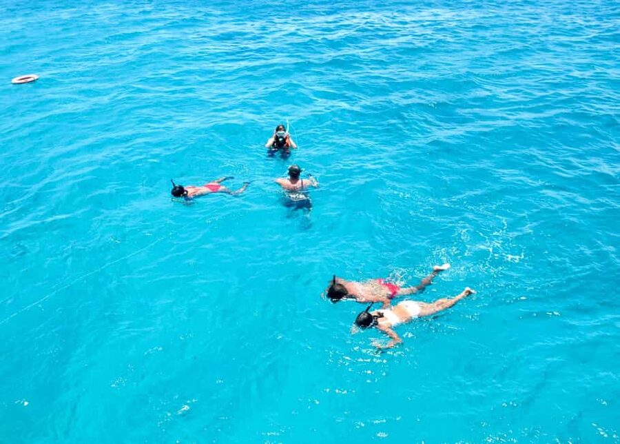 From Corralejo: Lobos Island Boat and Snorkel Activity - Return times that let you shape your day