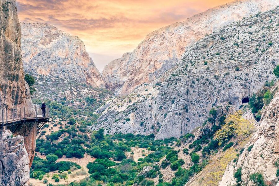 From Costa del Sol: Caminito del Rey Day Trip - Should you book this Caminito del Rey day trip?