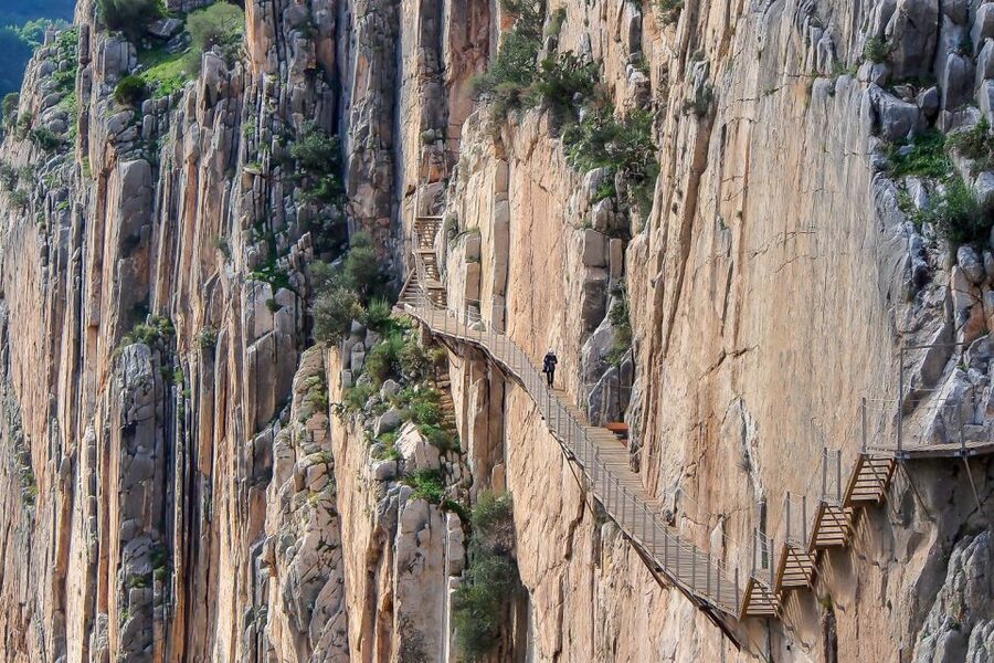 From Costa del Sol: Caminito del Rey Day Trip - What the guided experience teaches you, and why that matters