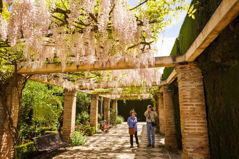 From Costa del Sol: Granada Full-Day Tour - From Costa del Sol to Granada, the day starts early and moves fast