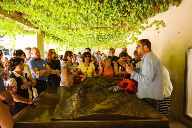 From Costa del Sol: Granada Full-Day Tour - Three options, one core dream: Alhambra